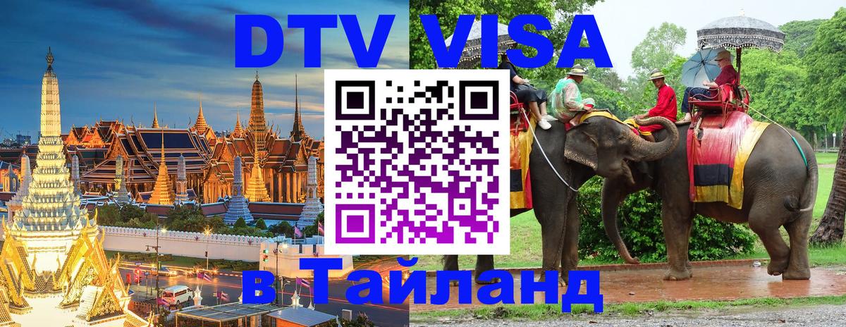 Оформление DTV визы под ключ: стоимость и тарифы, только загранпаспорт - 20.11.2025 